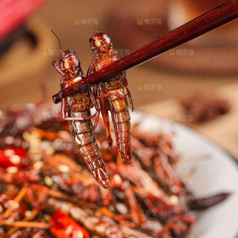 油炸蚂蚱
