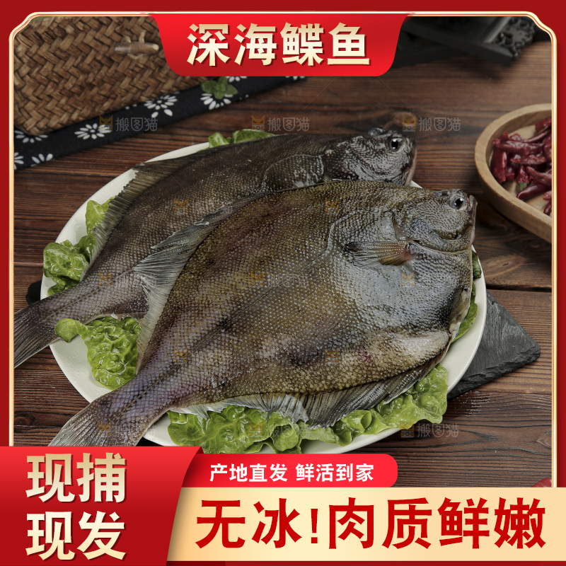 鲽鱼