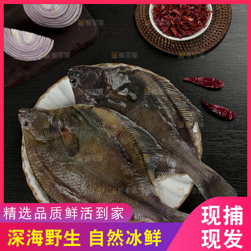 鲽鱼