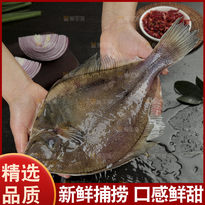 鲽鱼