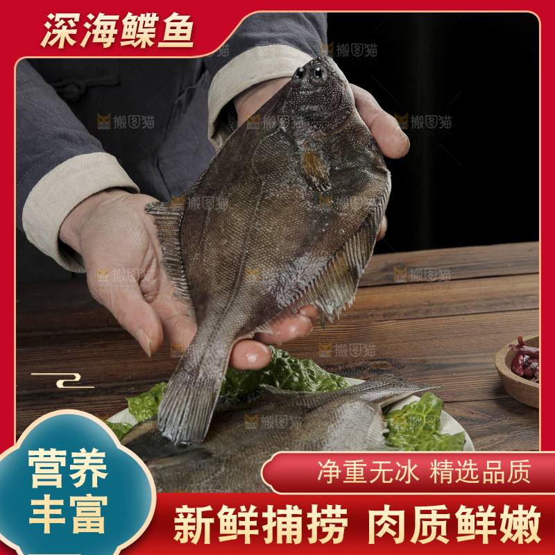鲽鱼