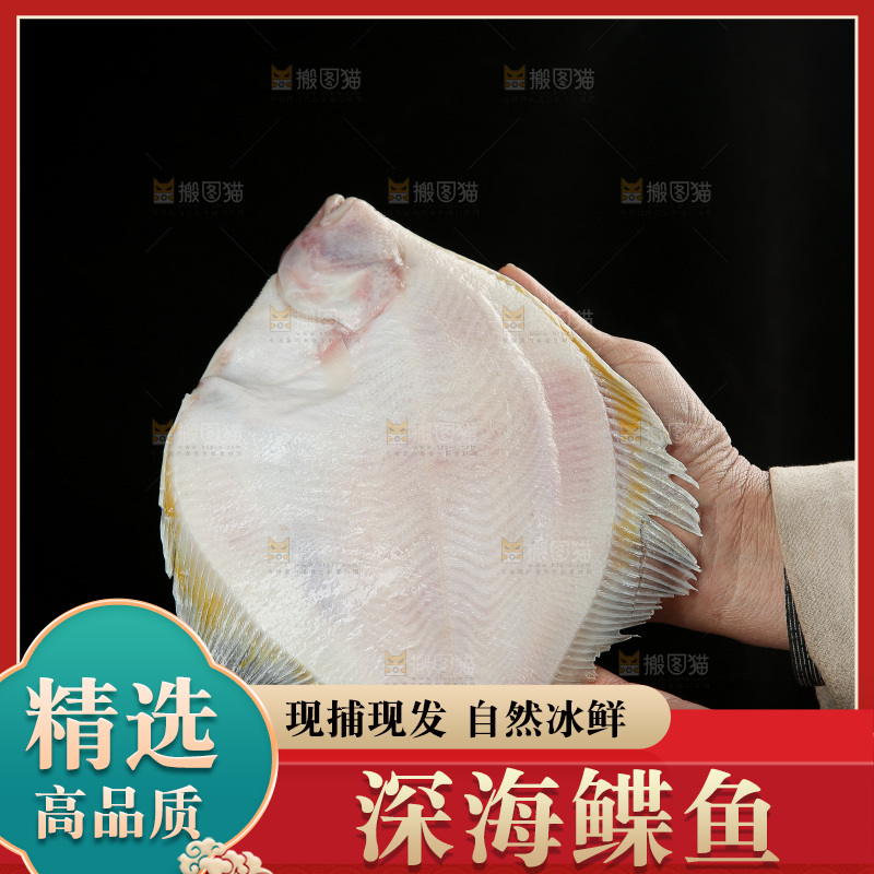 鲽鱼