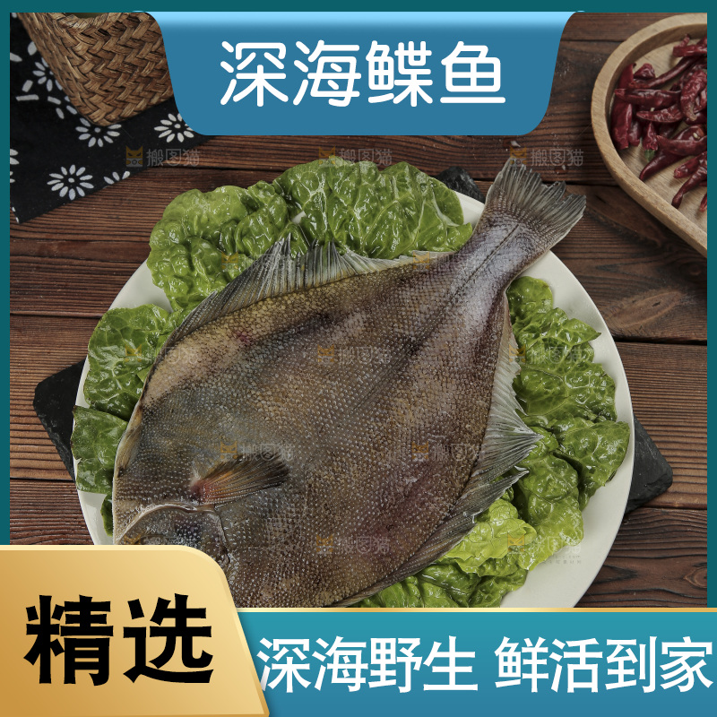 鲽鱼