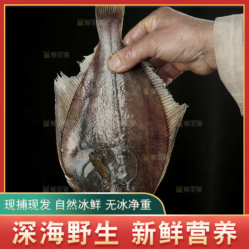 鲽鱼