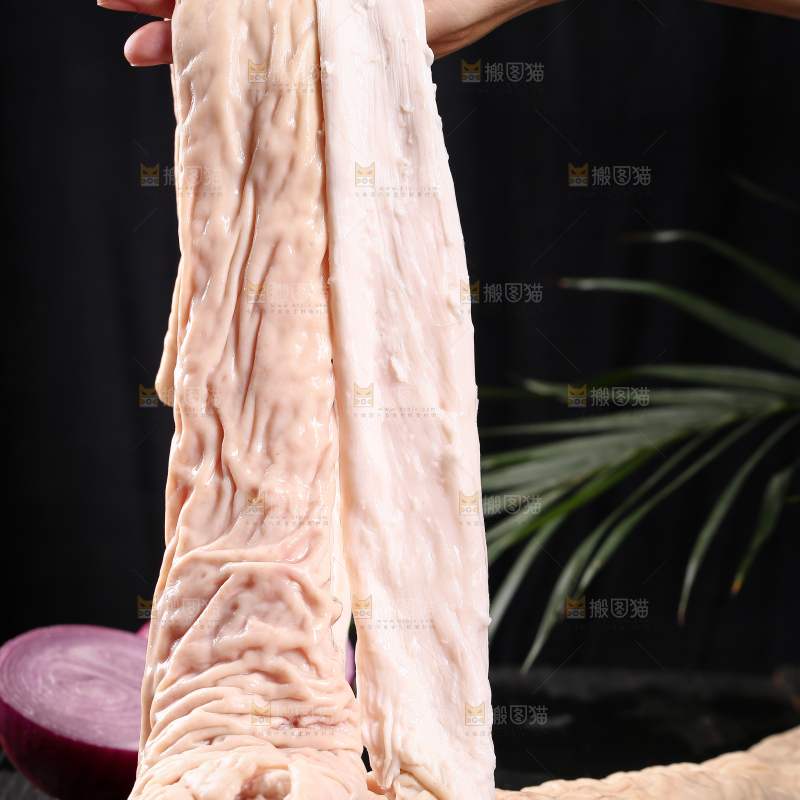 猪大肠