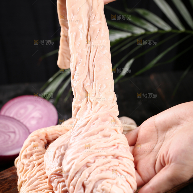 猪大肠