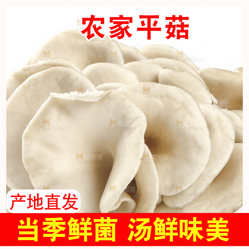 平菇