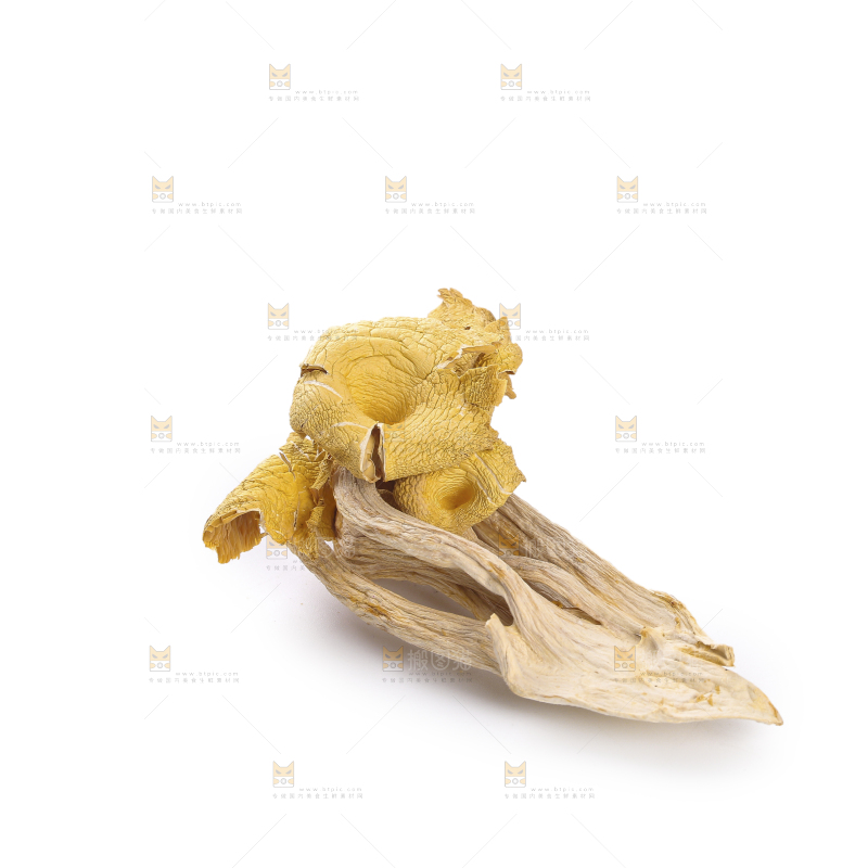 黄金菇