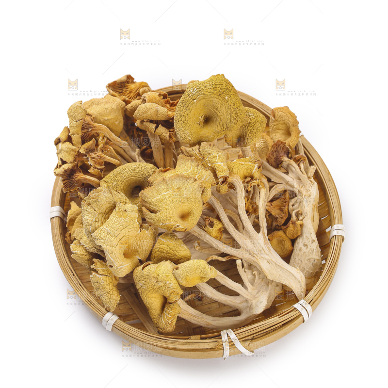 黄金菇