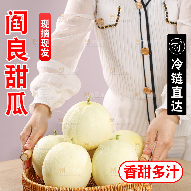阎良甜瓜