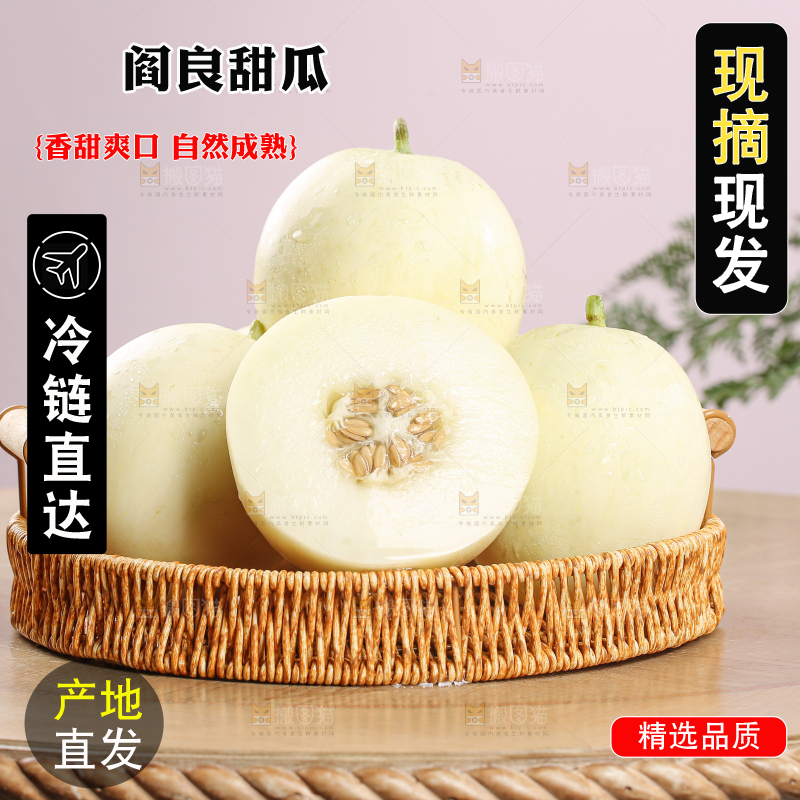 阎良甜瓜