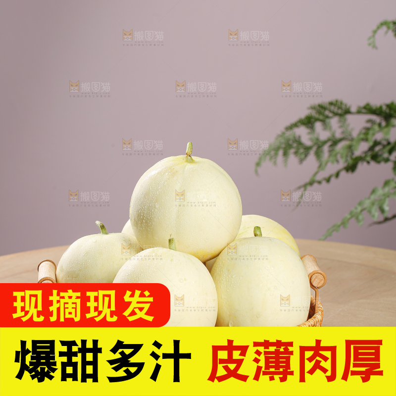 阎良甜瓜