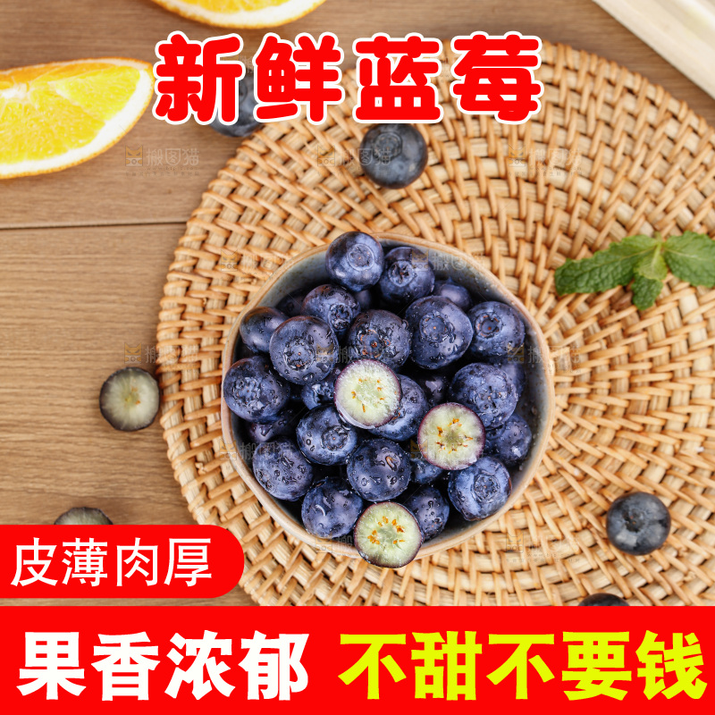 蓝莓