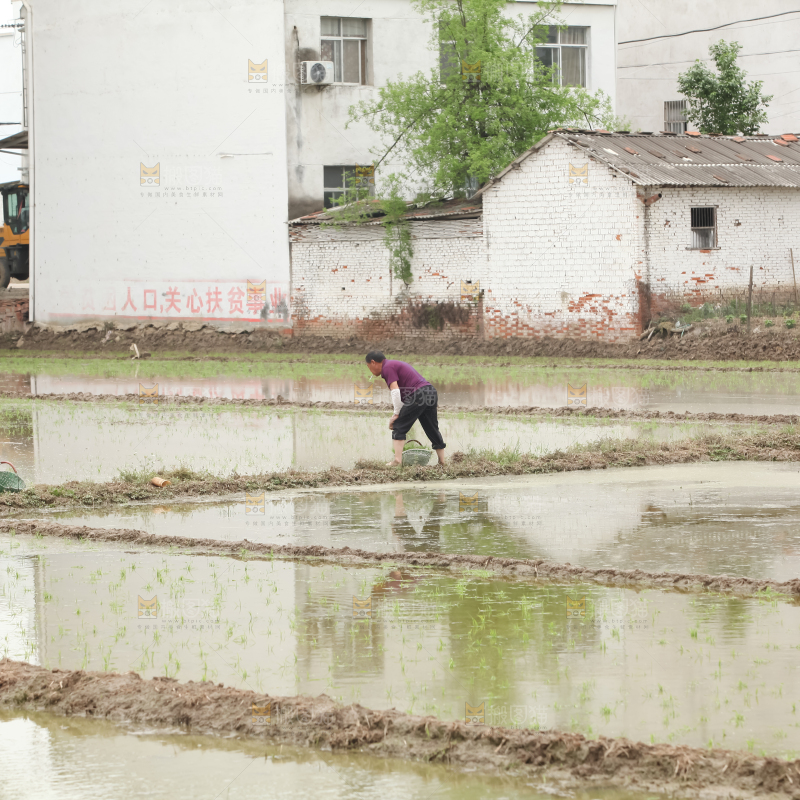 农田