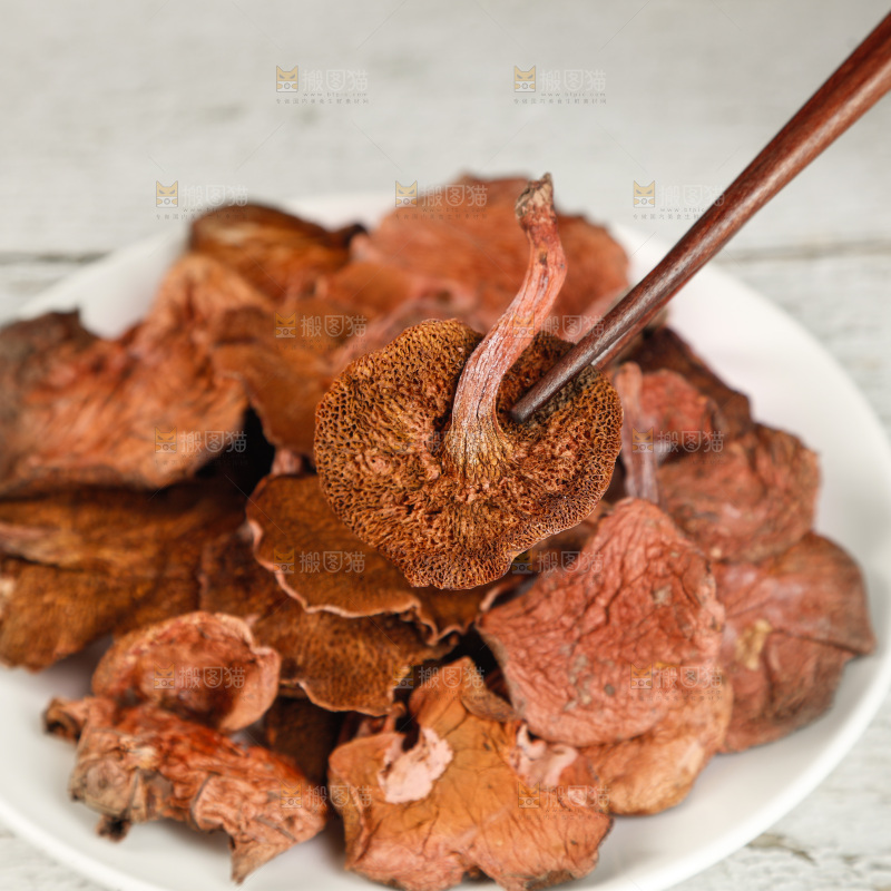 牛肝菌