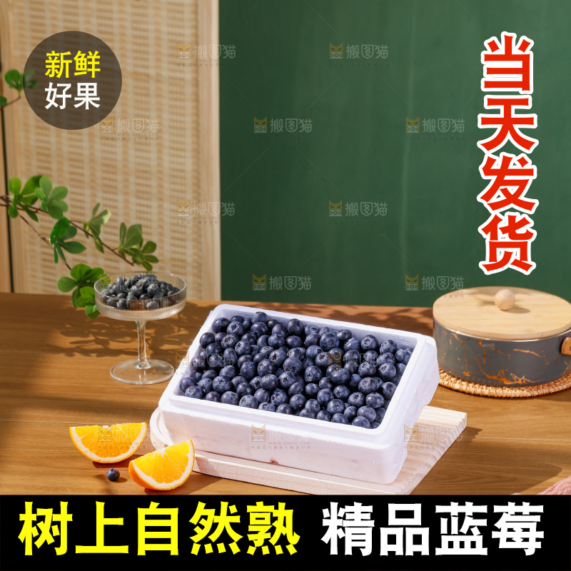 蓝莓
