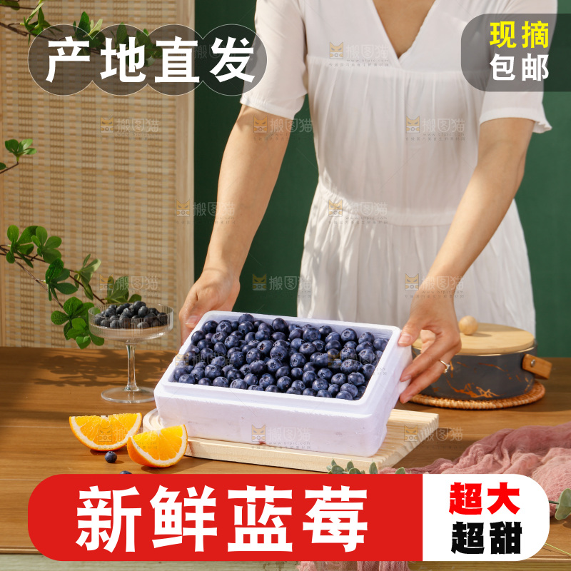 蓝莓