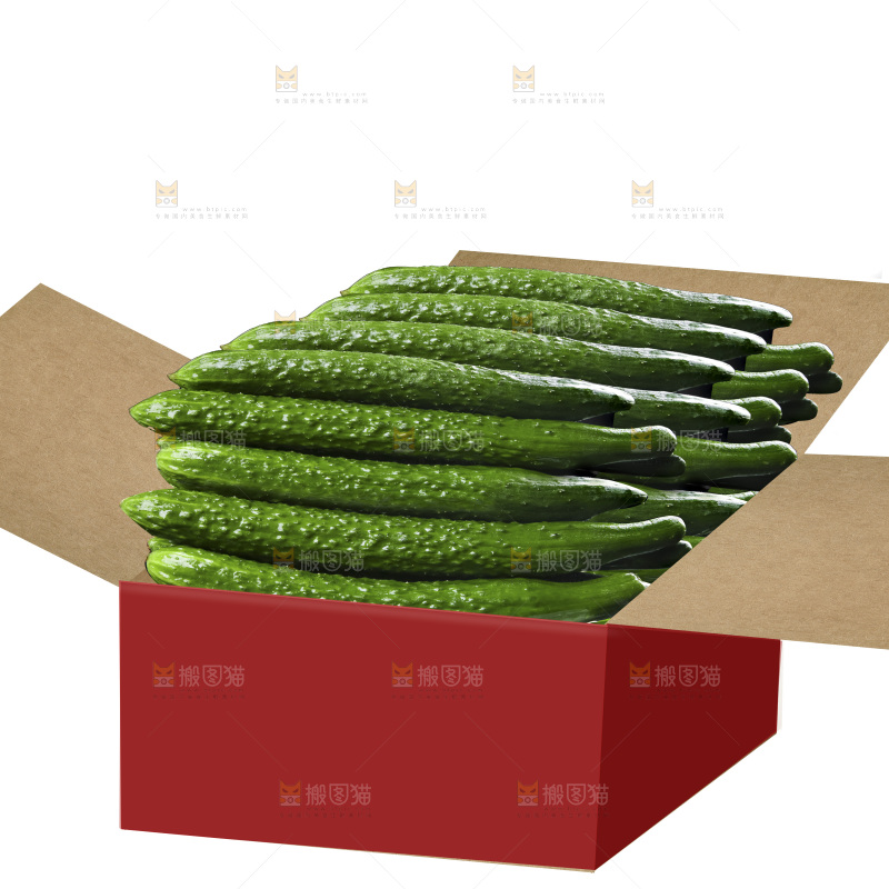 长黄瓜