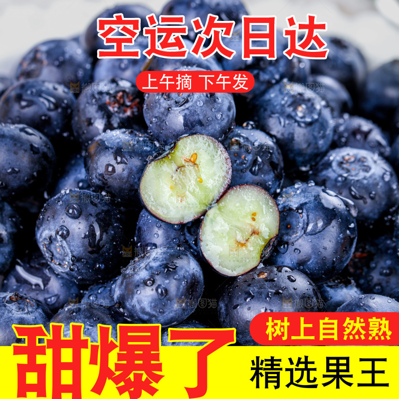 蓝莓