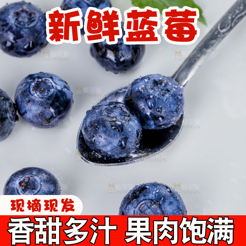 蓝莓