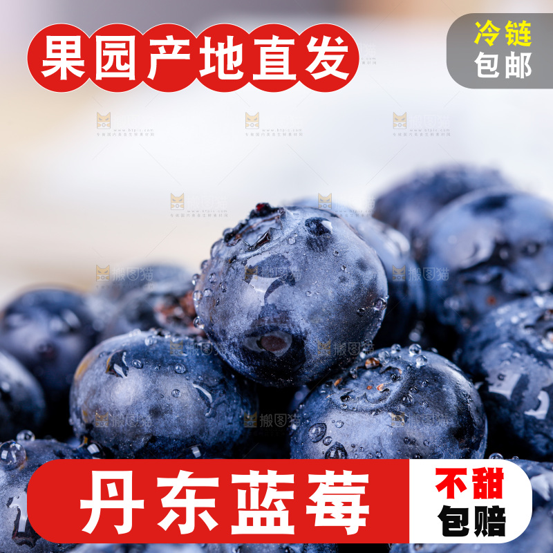 蓝莓
