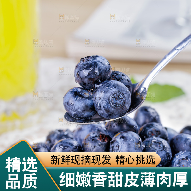 蓝莓