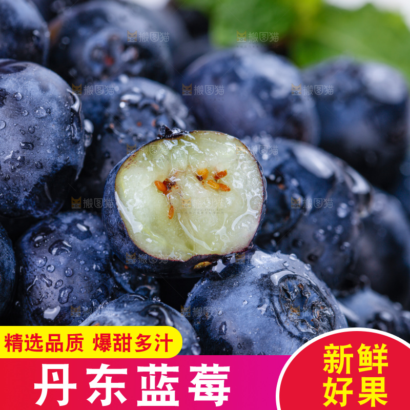 蓝莓