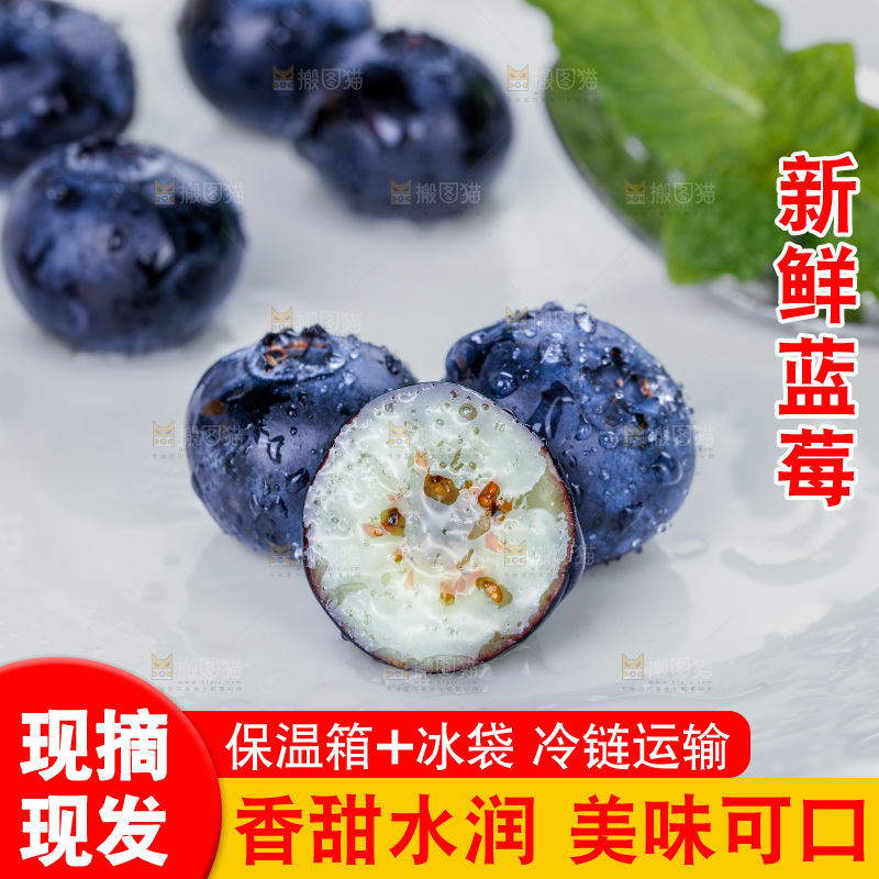 蓝莓
