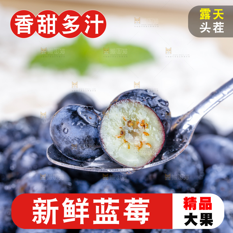 蓝莓