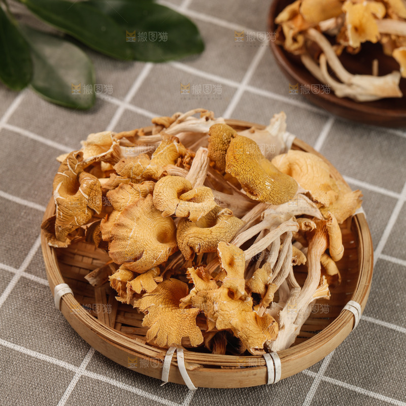 黄金菇