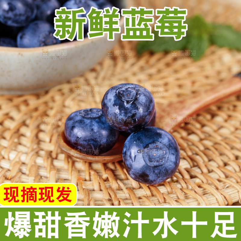蓝莓