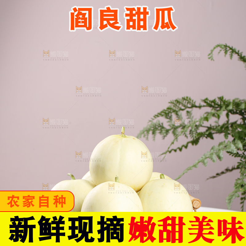 阎良甜瓜