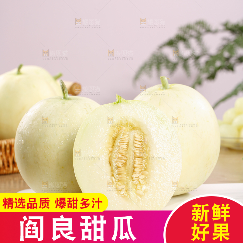 阎良甜瓜