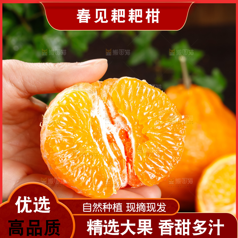 春见耙耙柑