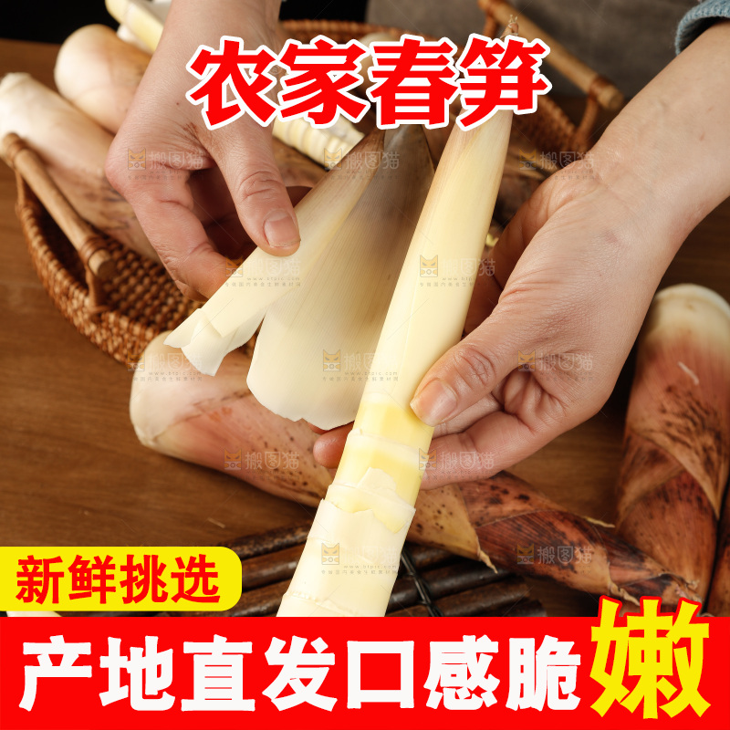 春笋