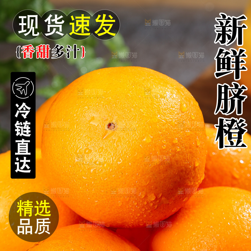 脐橙