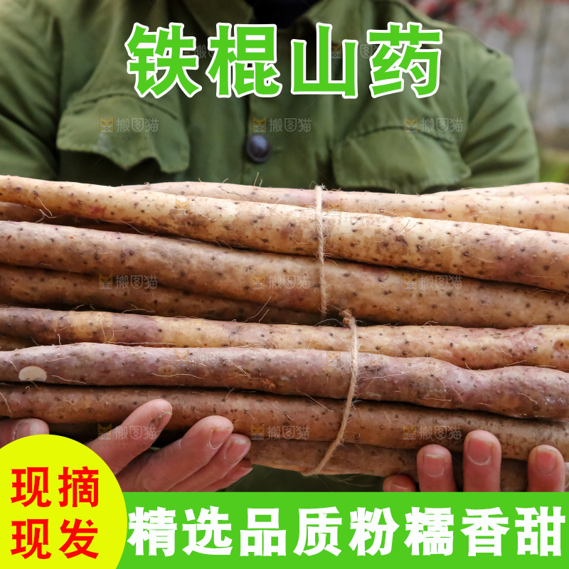 铁棍山药