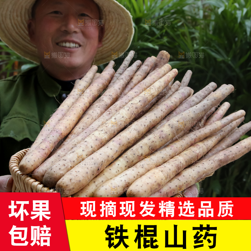 铁棍山药