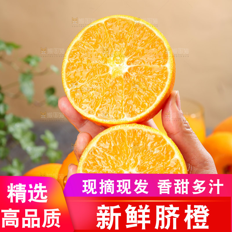 脐橙