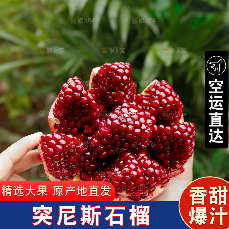 软籽石榴