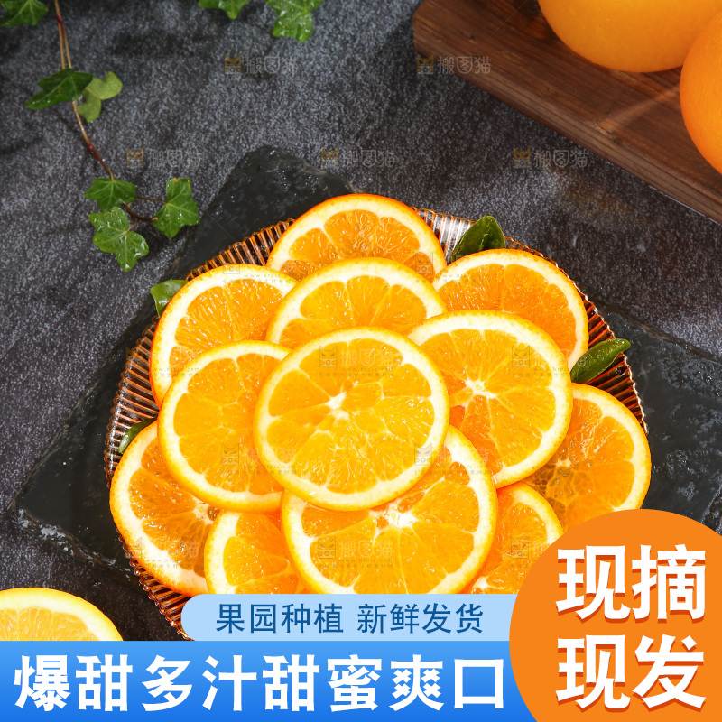 脐橙