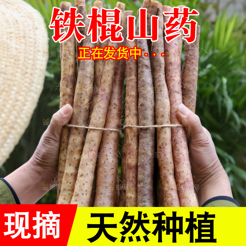 铁棍山药
