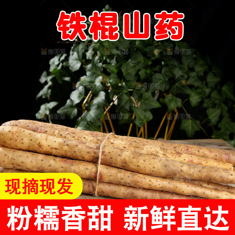 铁棍山药