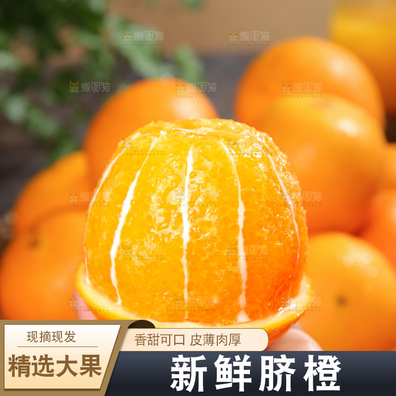 脐橙