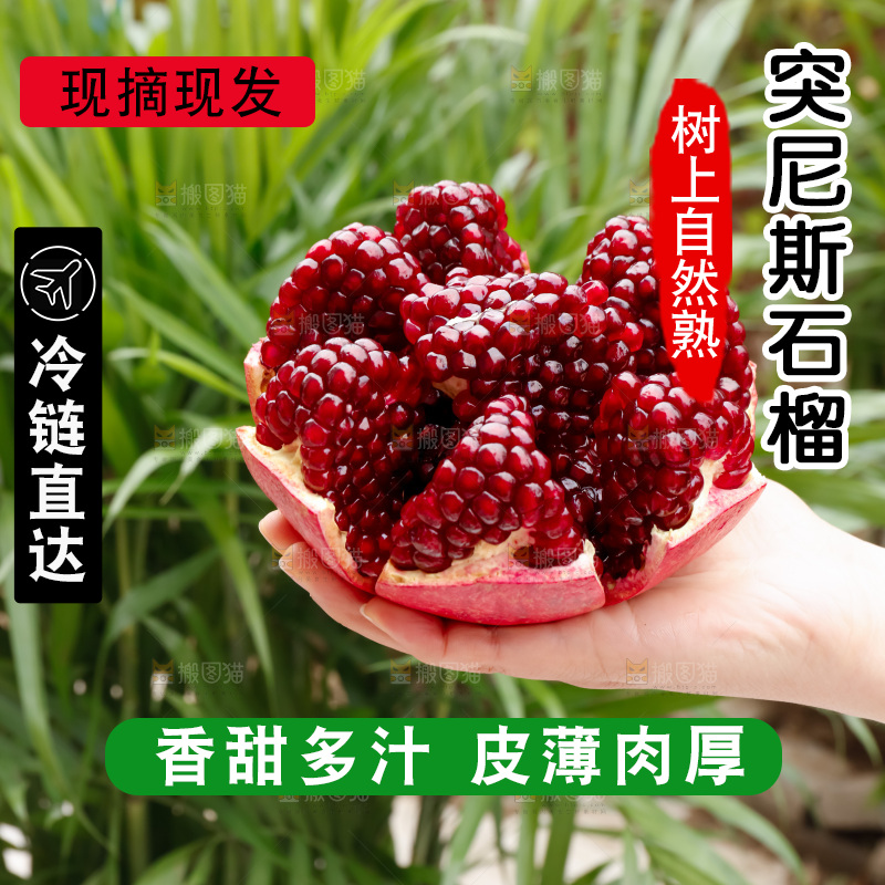 软籽石榴