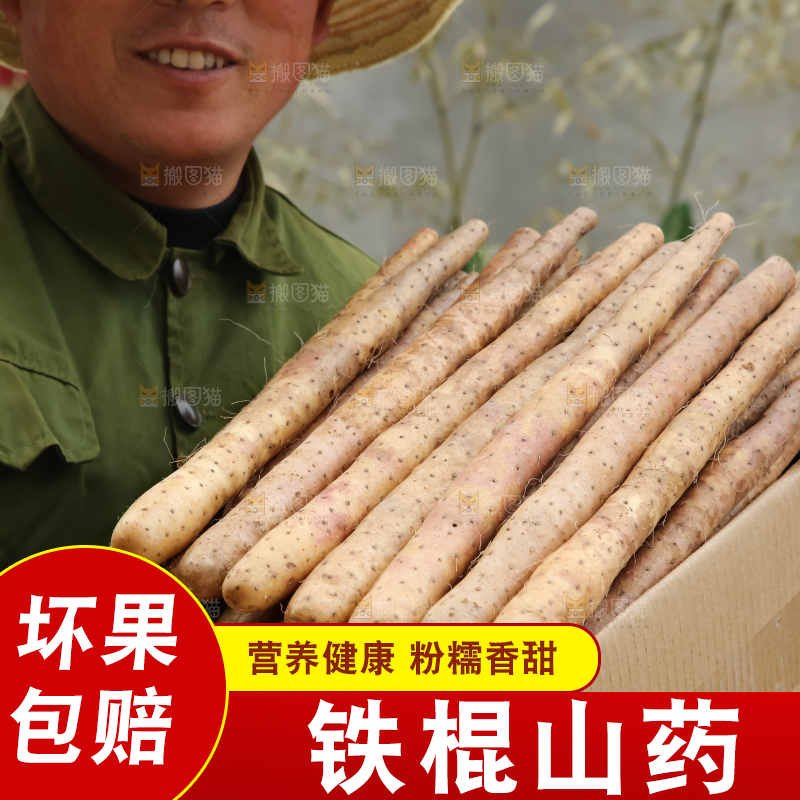 铁棍山药
