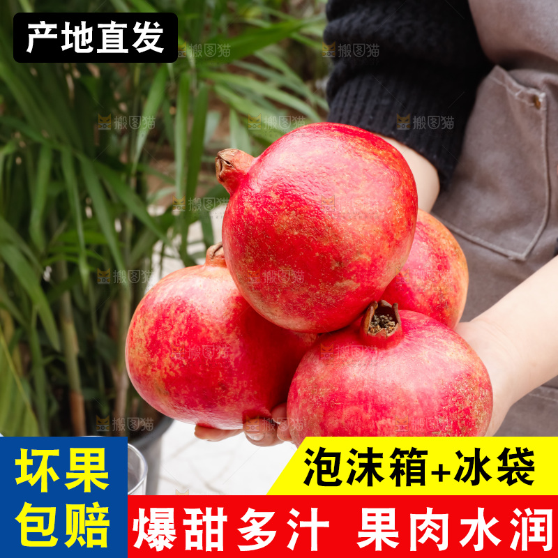 软籽石榴