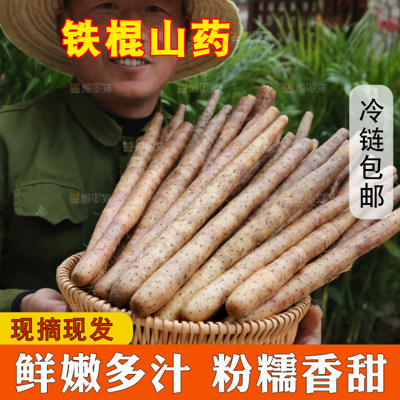 铁棍山药