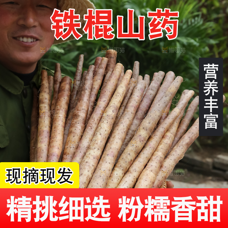 铁棍山药