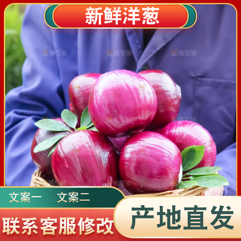 洋葱